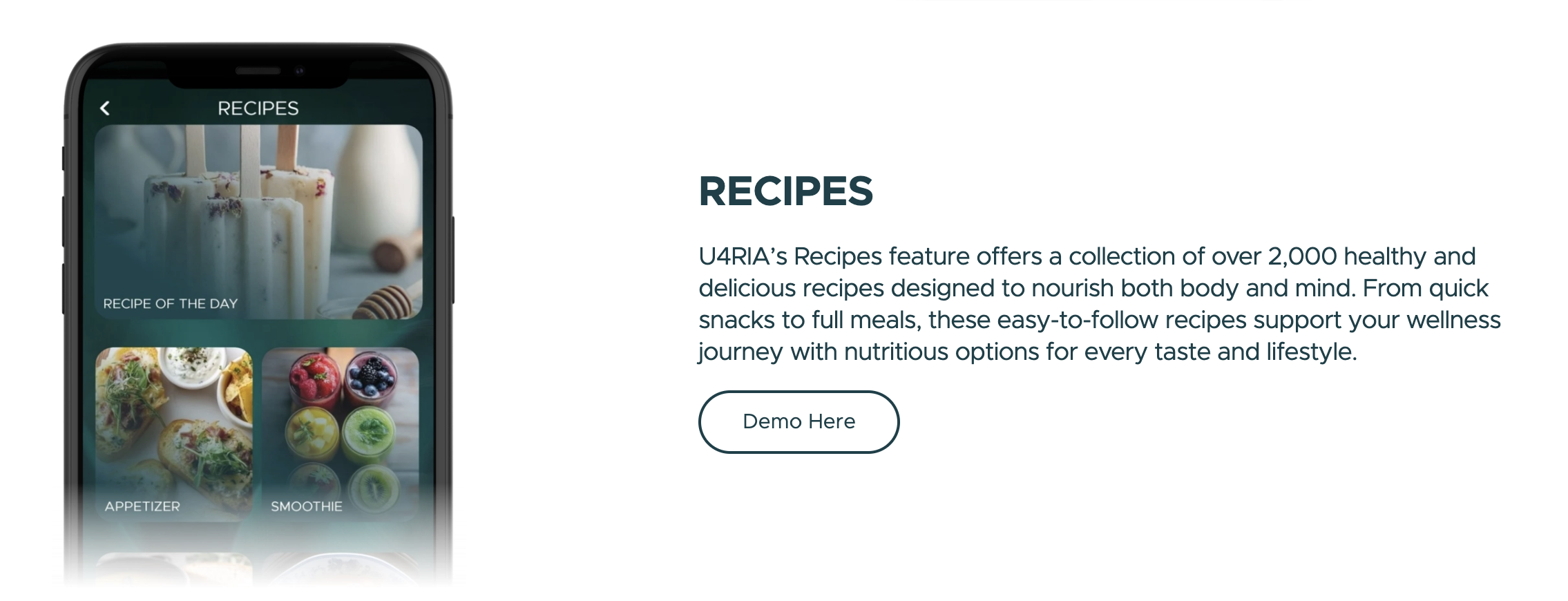 Recipes feature with healthy meal collections